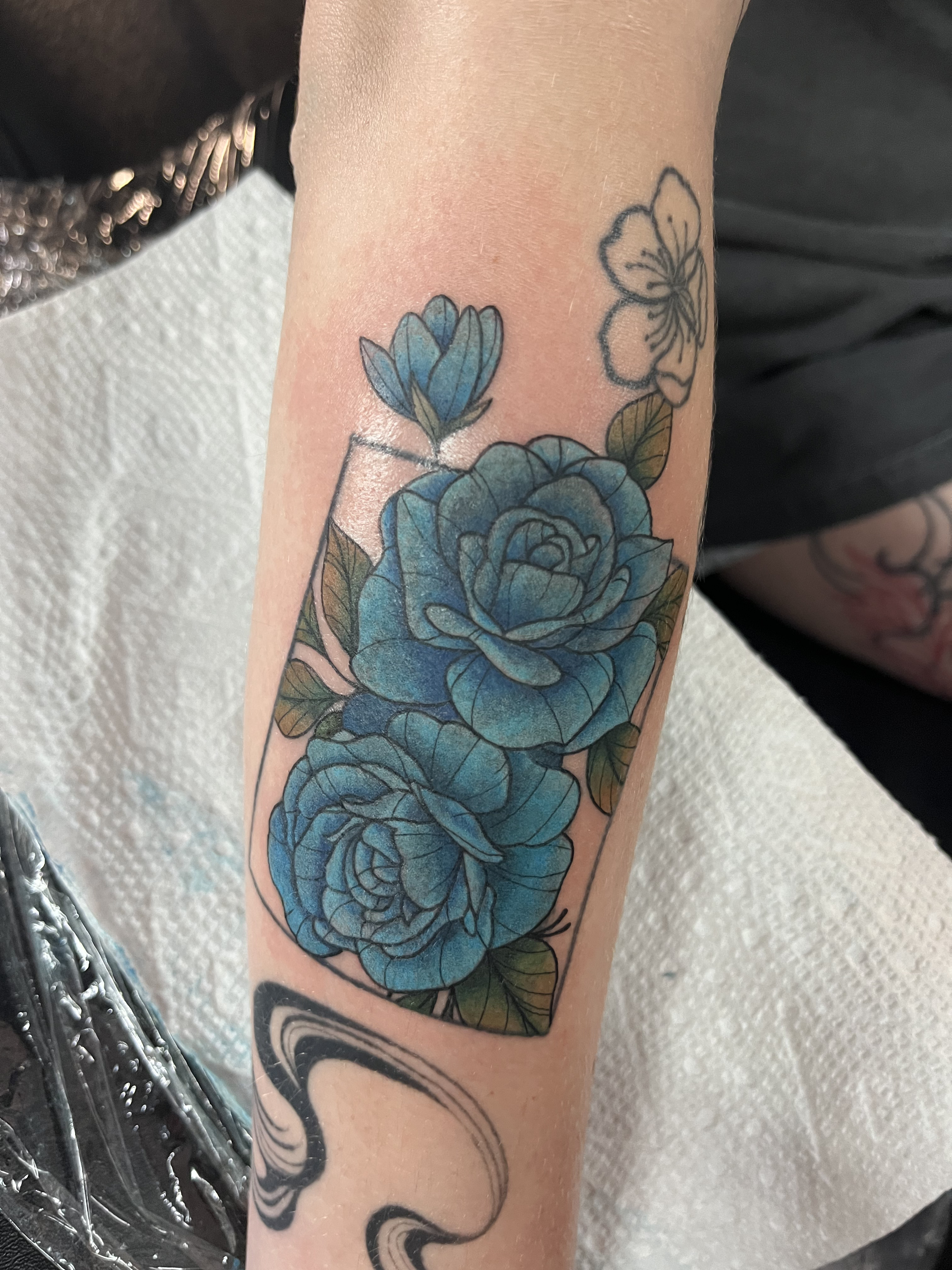 color5