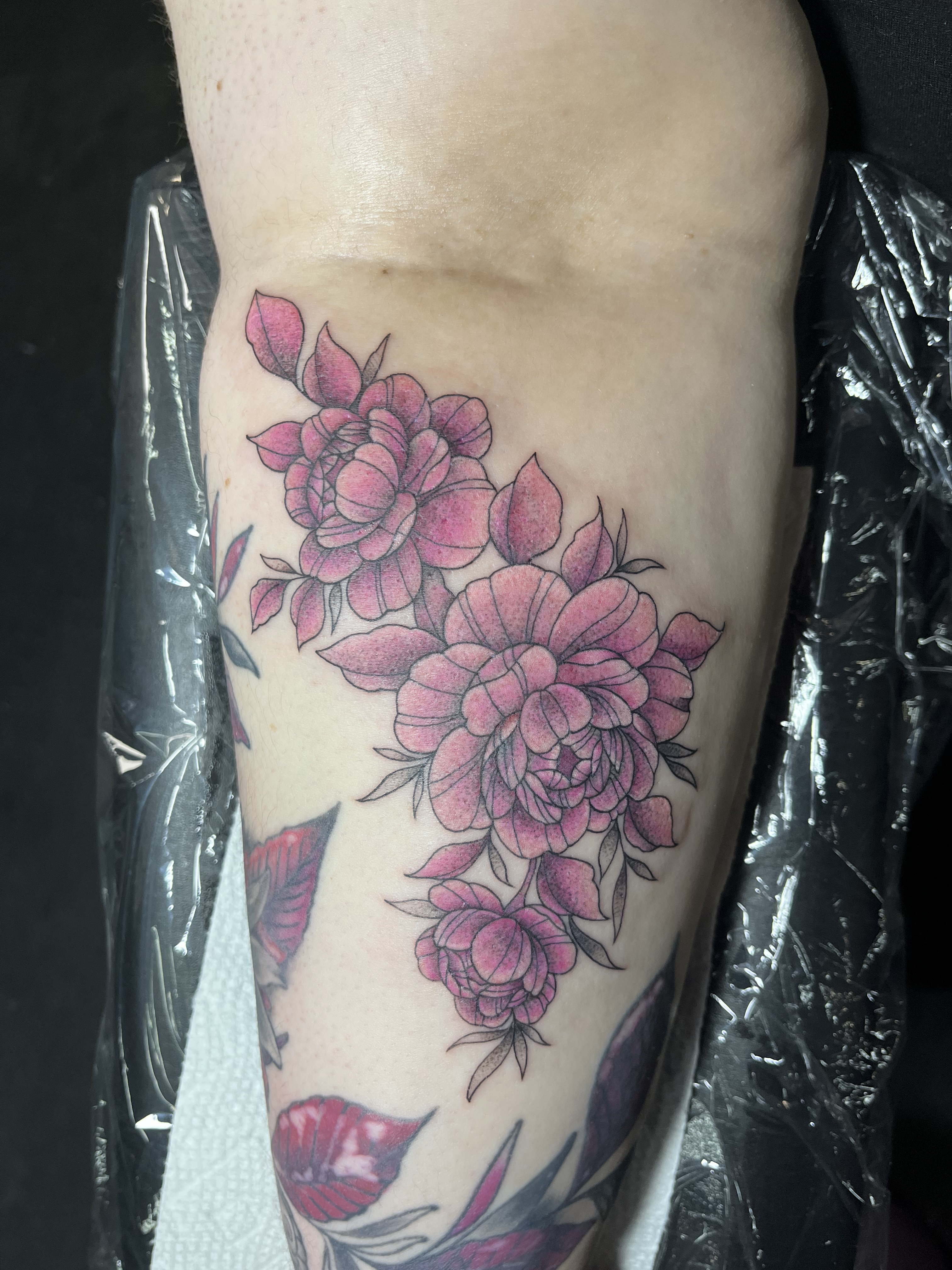 color7