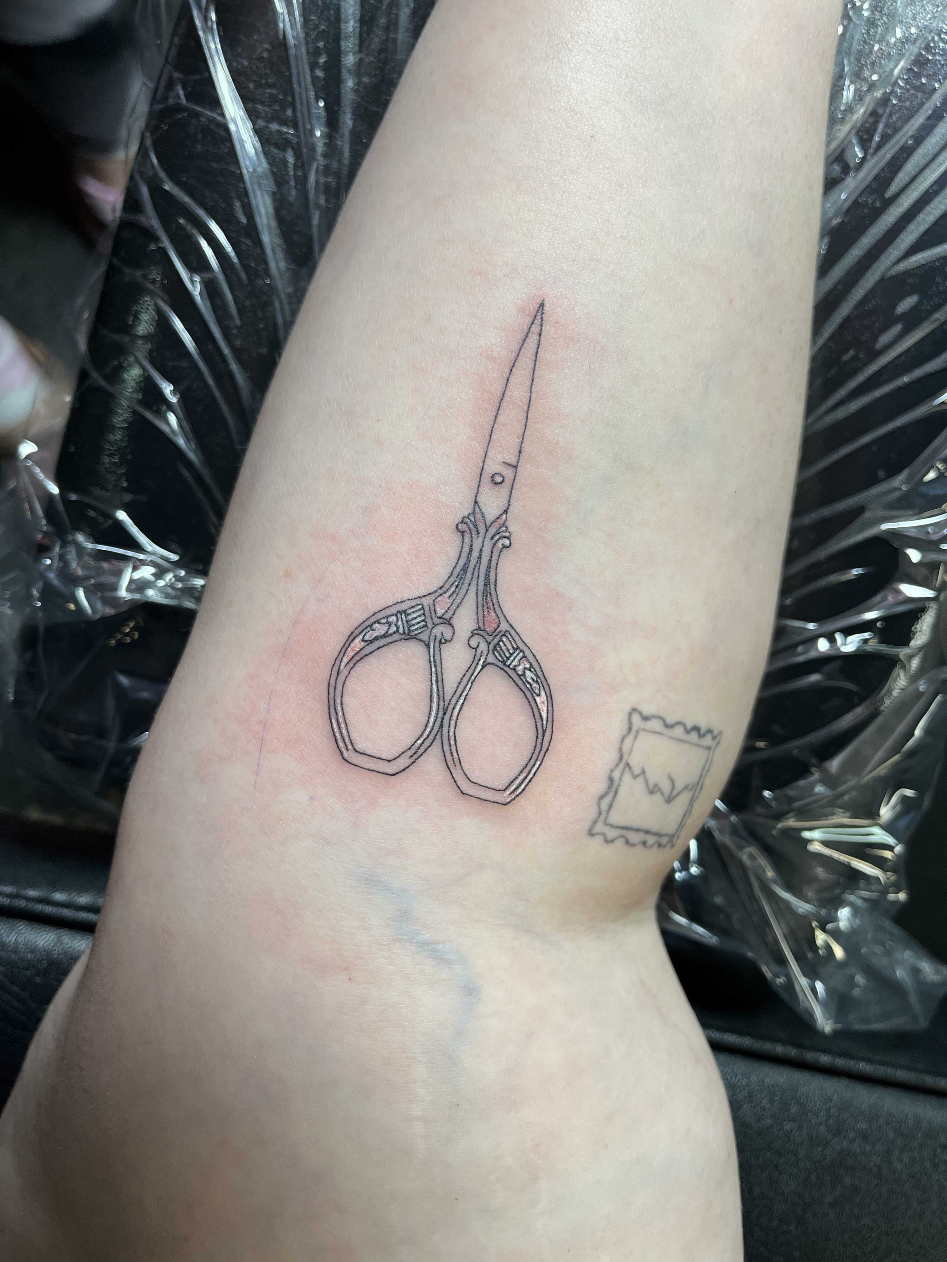 linework11