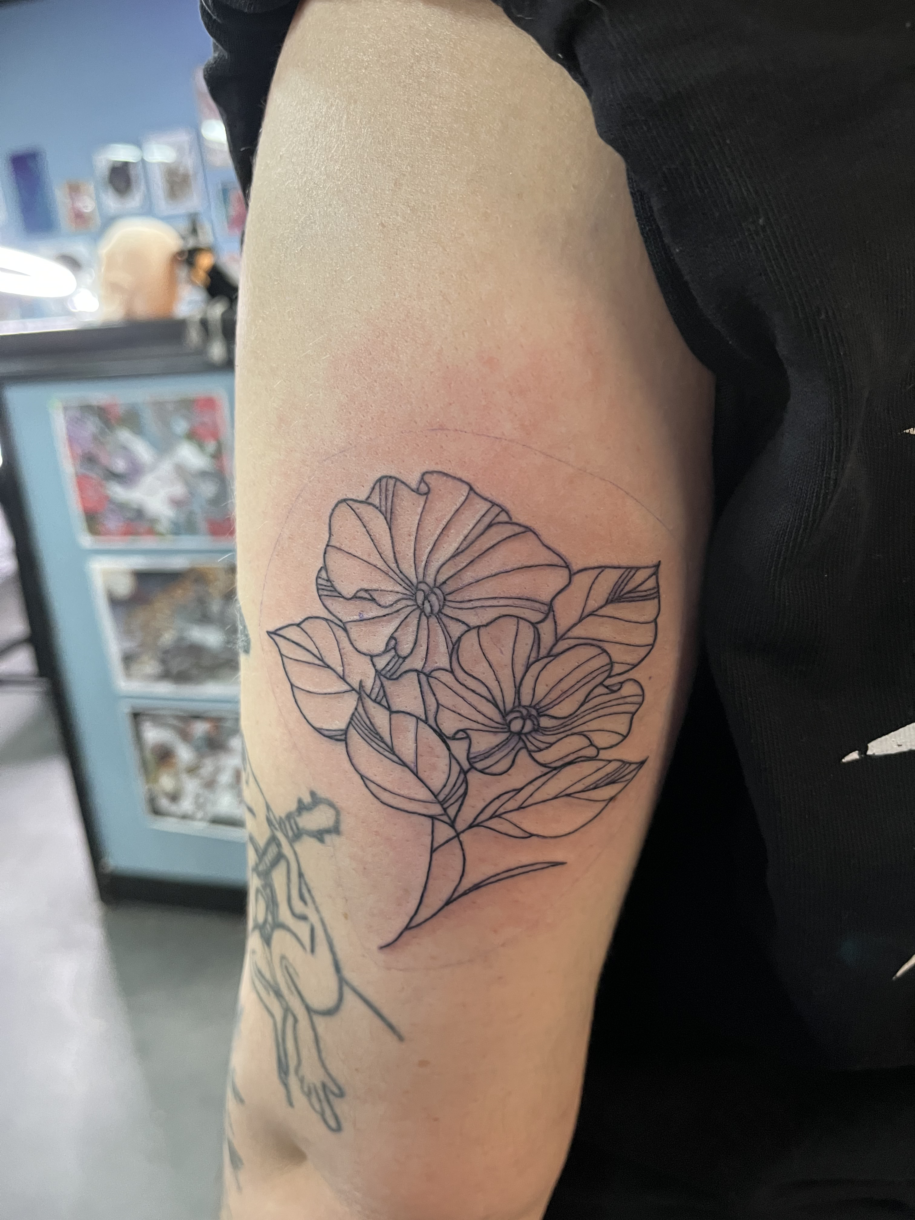 linework15