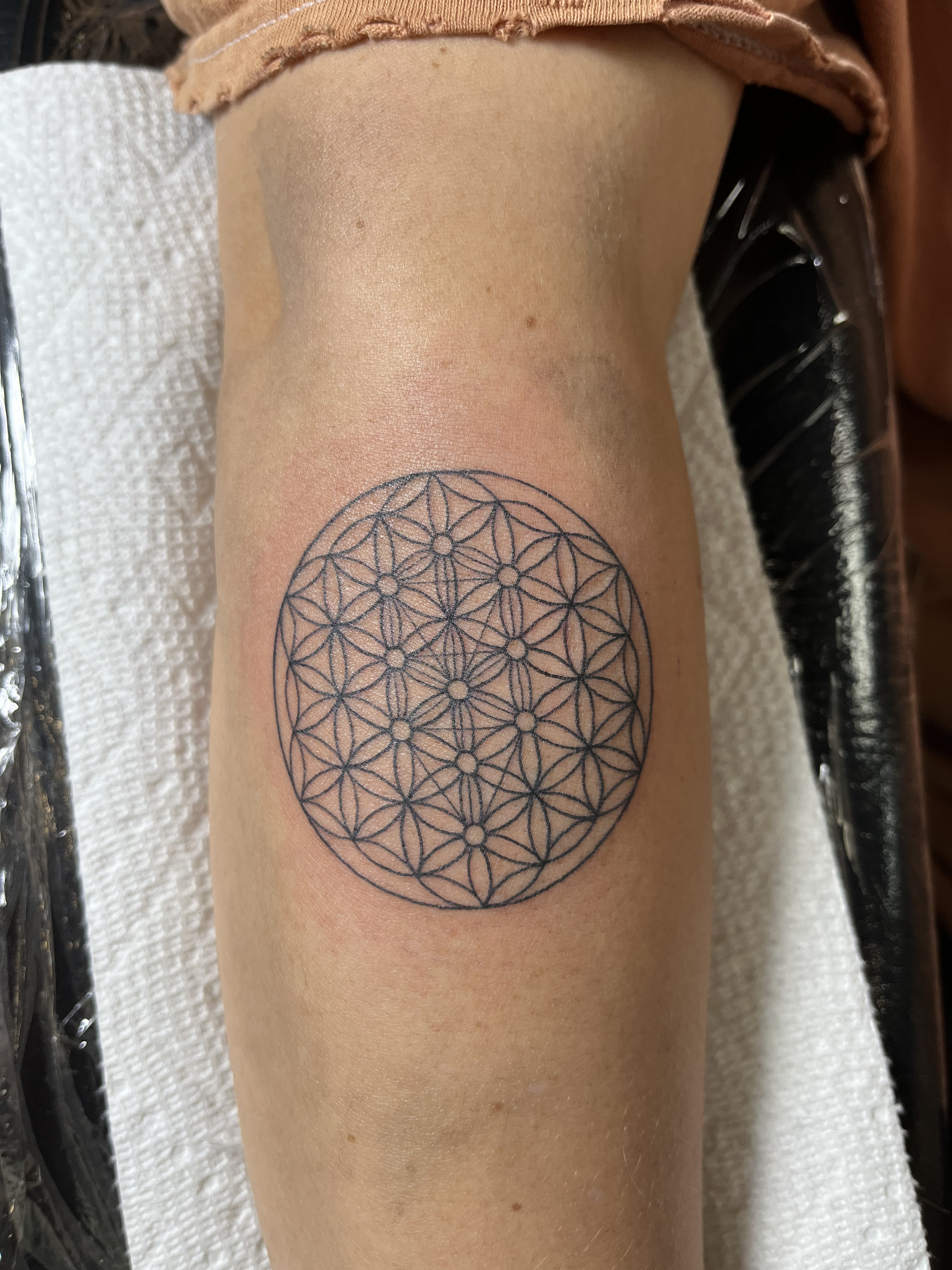 linework18