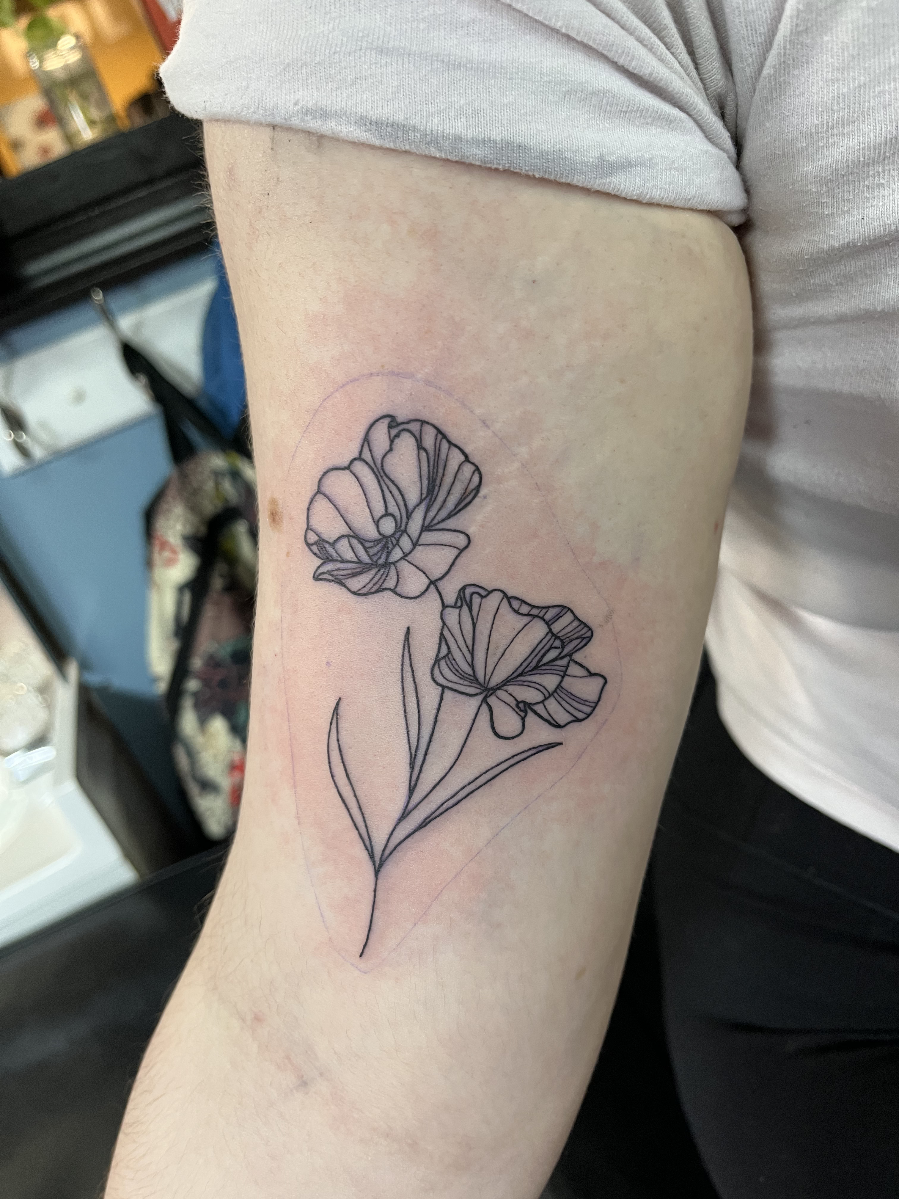 linework20