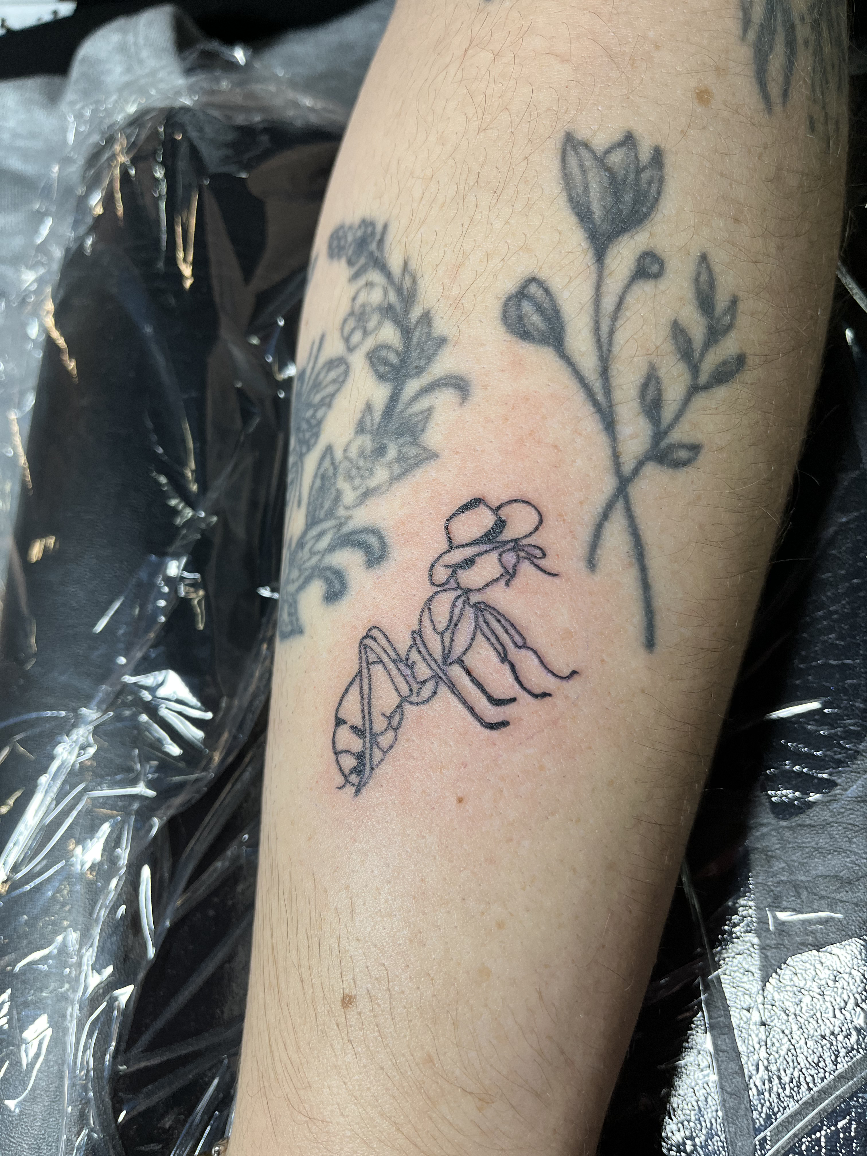 linework22