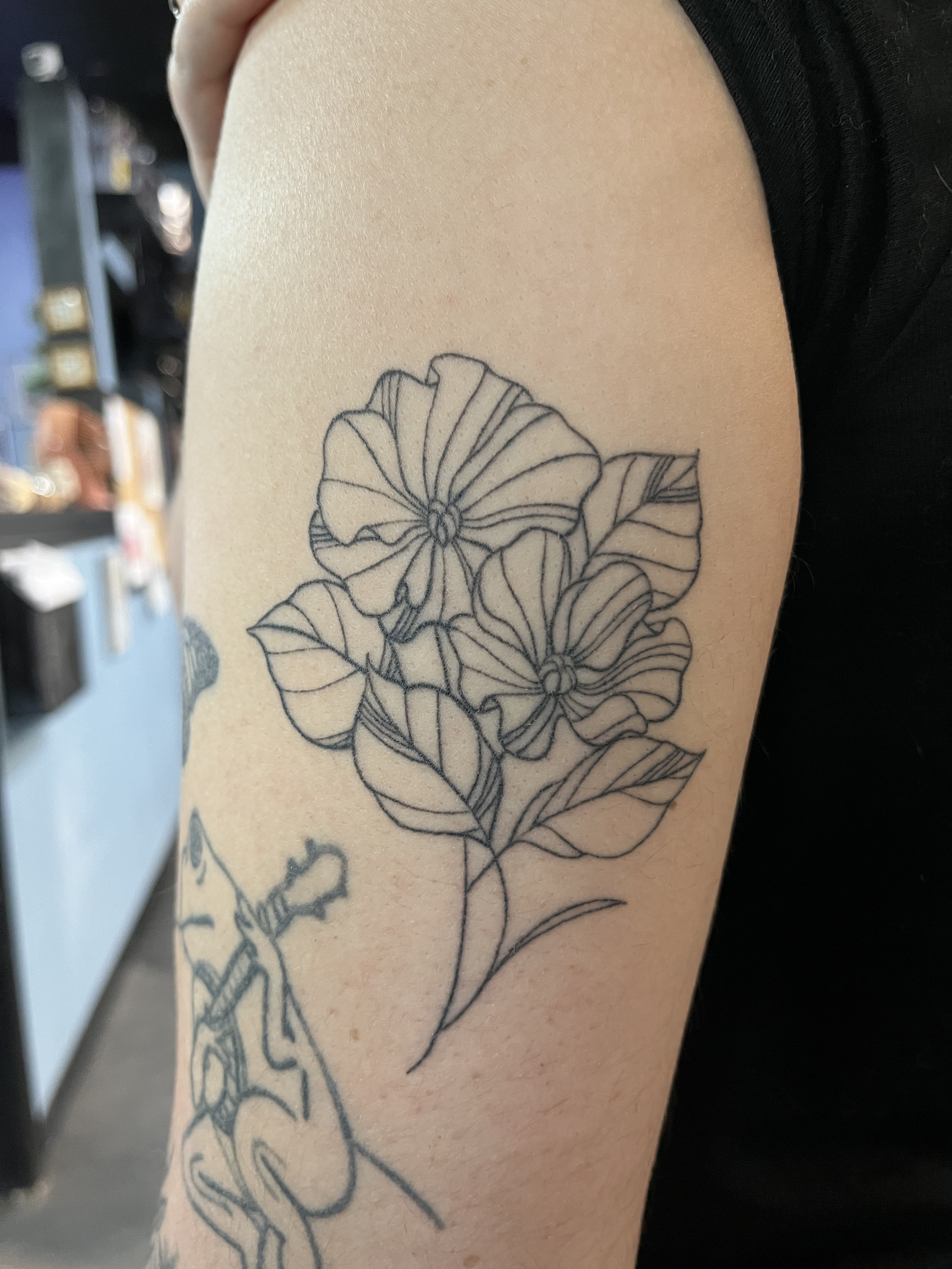 linework23