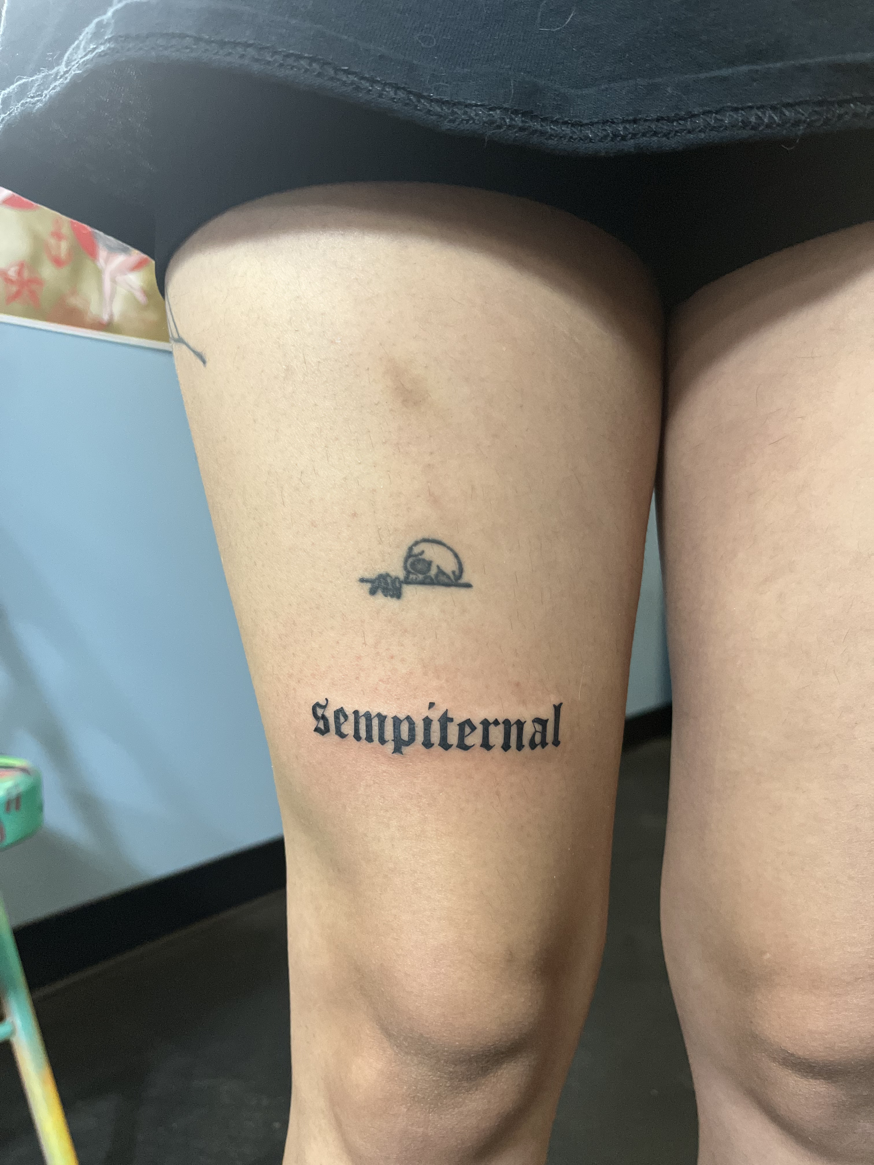 script