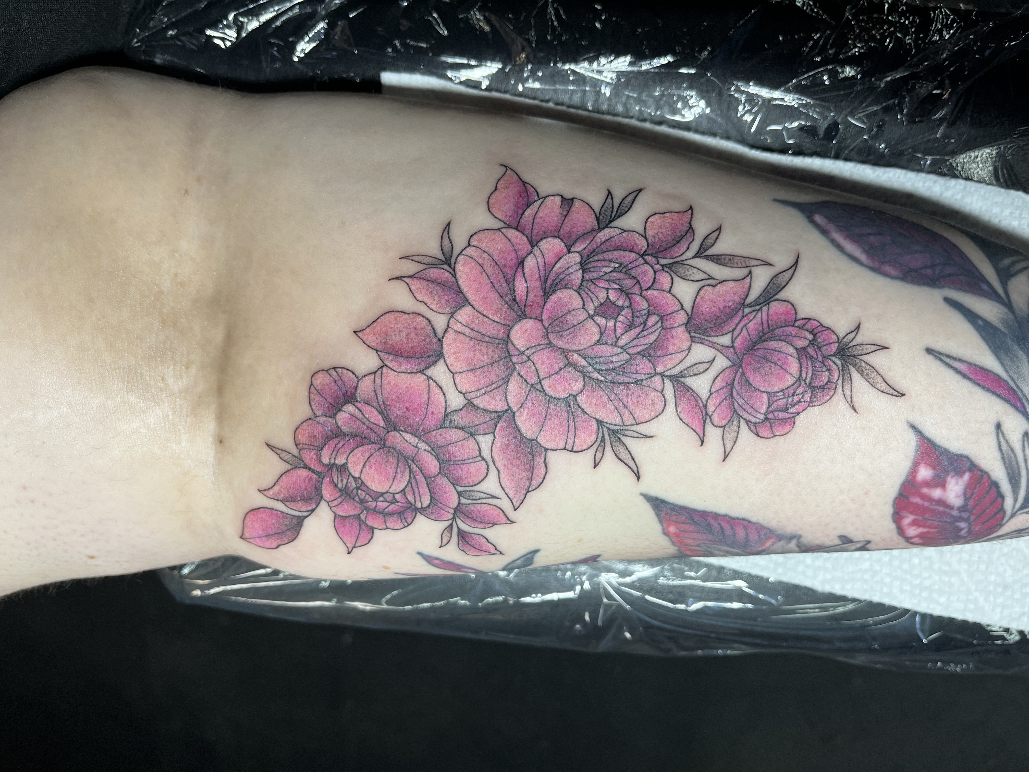 Laura tattooing